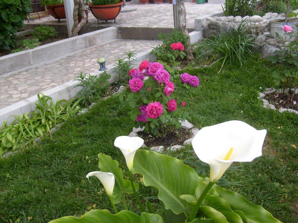 Apartments Bovan Herceg Novi Buitenkant foto